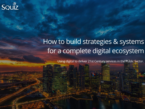 How-to Build Strategies & Systems for a Complete Digital Ecosystem